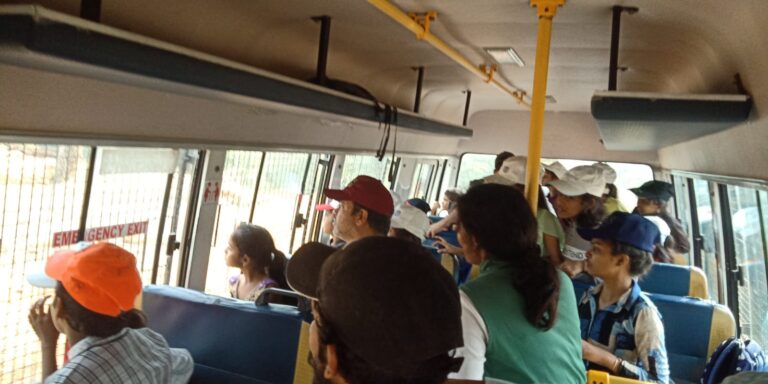 Discovery and Inspiration at Bannerghatta National Park